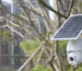 solar-powered-cctv-cameras